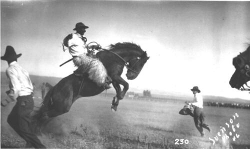 Bronc Rider